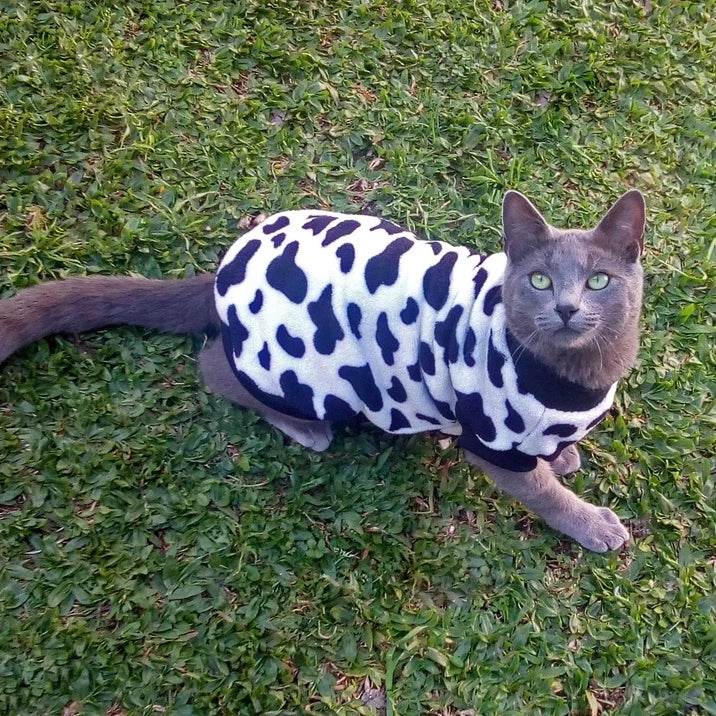 Roupa de Inverno para Pets