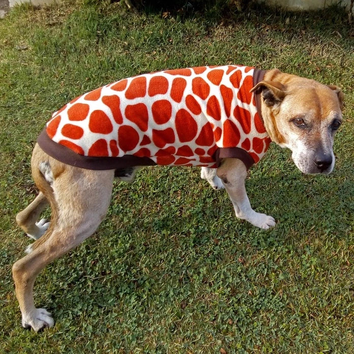 Roupa de Inverno para Pets