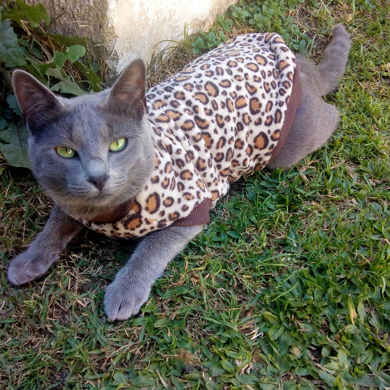 Roupa de Inverno para Pets