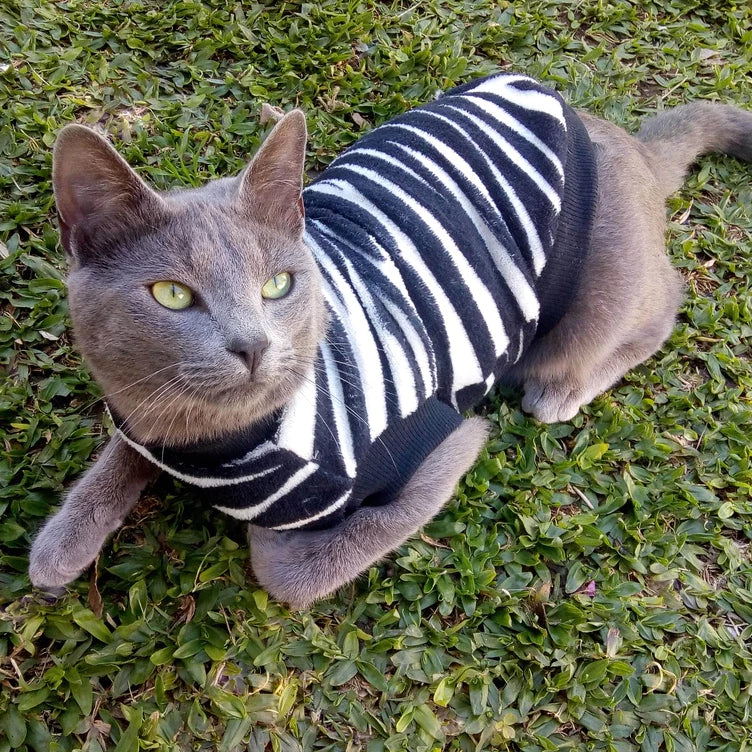 Roupa de Inverno para Pets