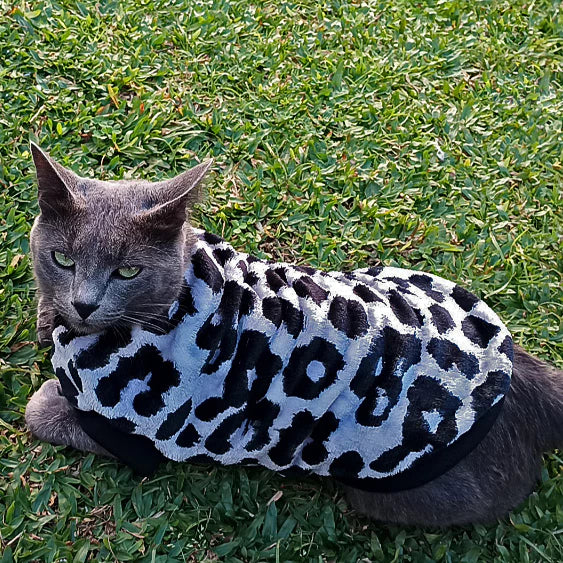 Roupa de Inverno para Pets