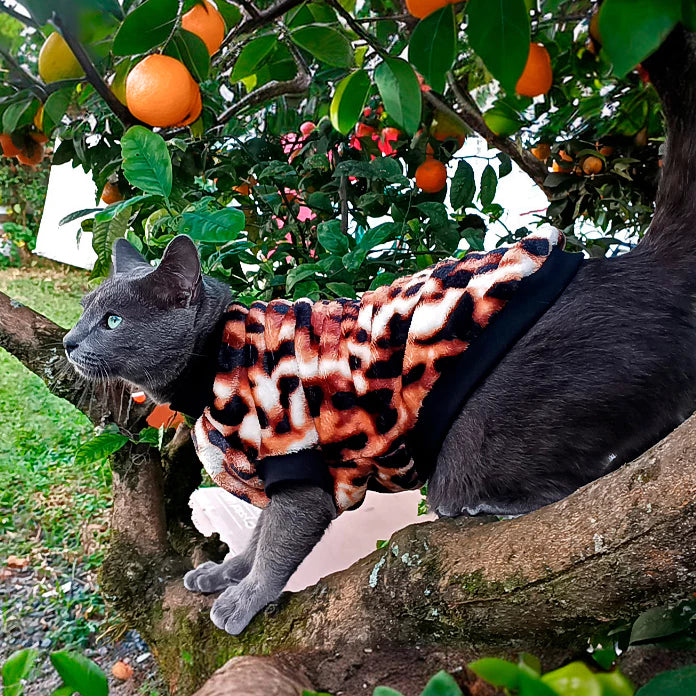 Roupa de Inverno para Pets