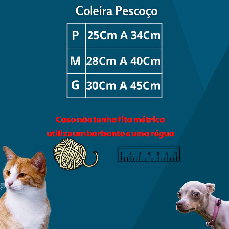 Coleira Ajustável com Pingente Luxo