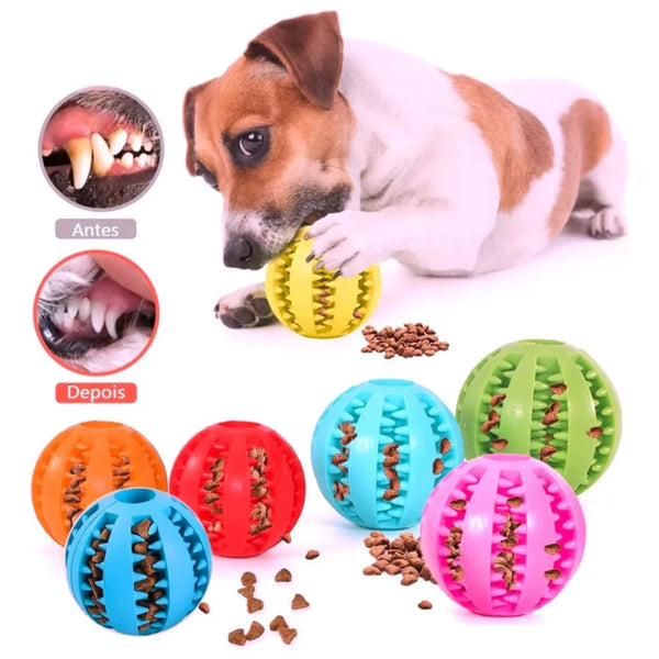 Pet Mordedor Bola Multifuncional