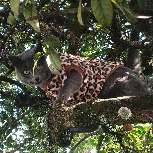 Roupa de Inverno para Pets