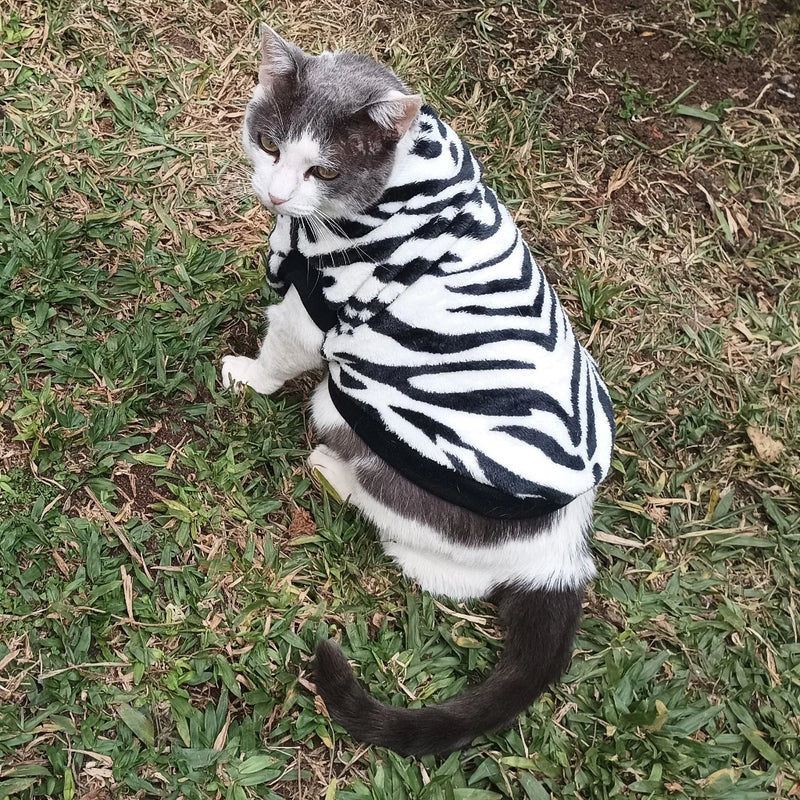 Roupa de Inverno para Pets