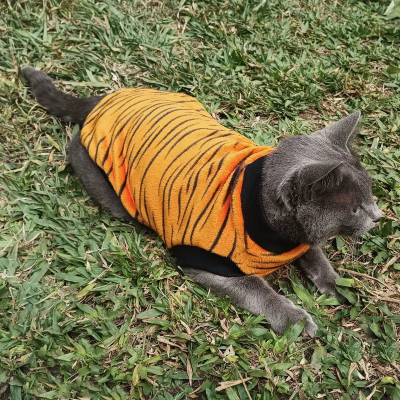 Roupa de Inverno para Pets