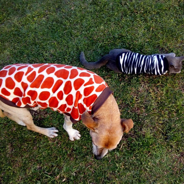 Roupa de Inverno para Pets