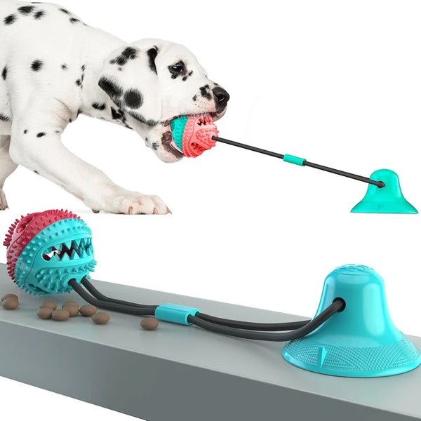 Brinquedo Interativo Push Ball
